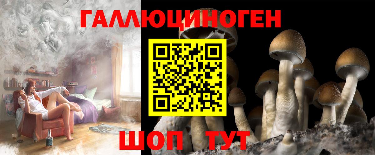Галлюциногенные грибы прущие грибы Донецк