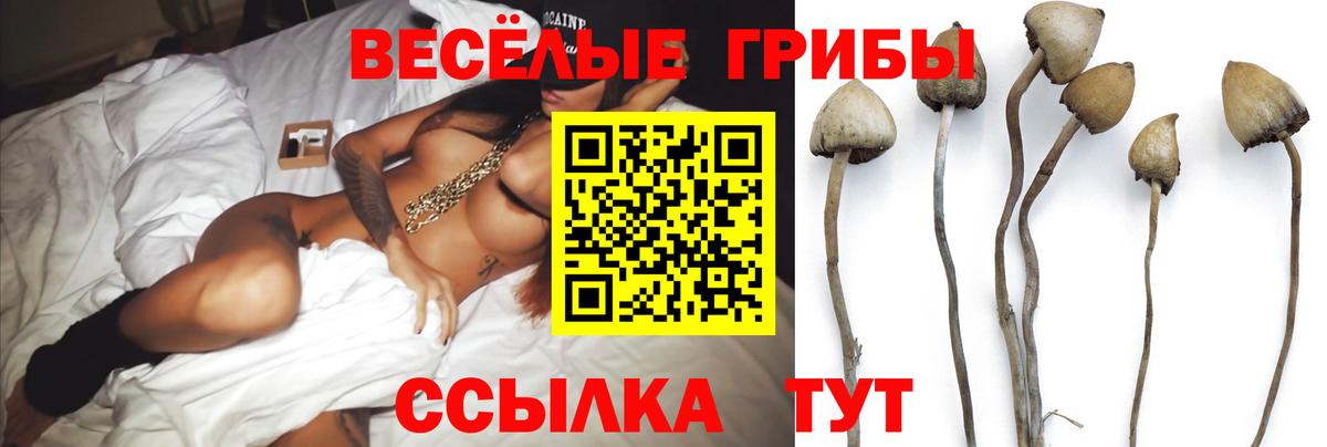Галлюциногенные грибы Psilocybe  Вход с VPN  Донецк 